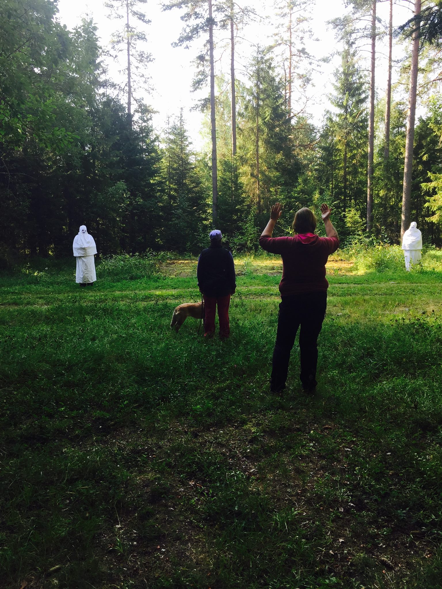 Tilleggskrav Mentaltest – Finsk Champion Tittel