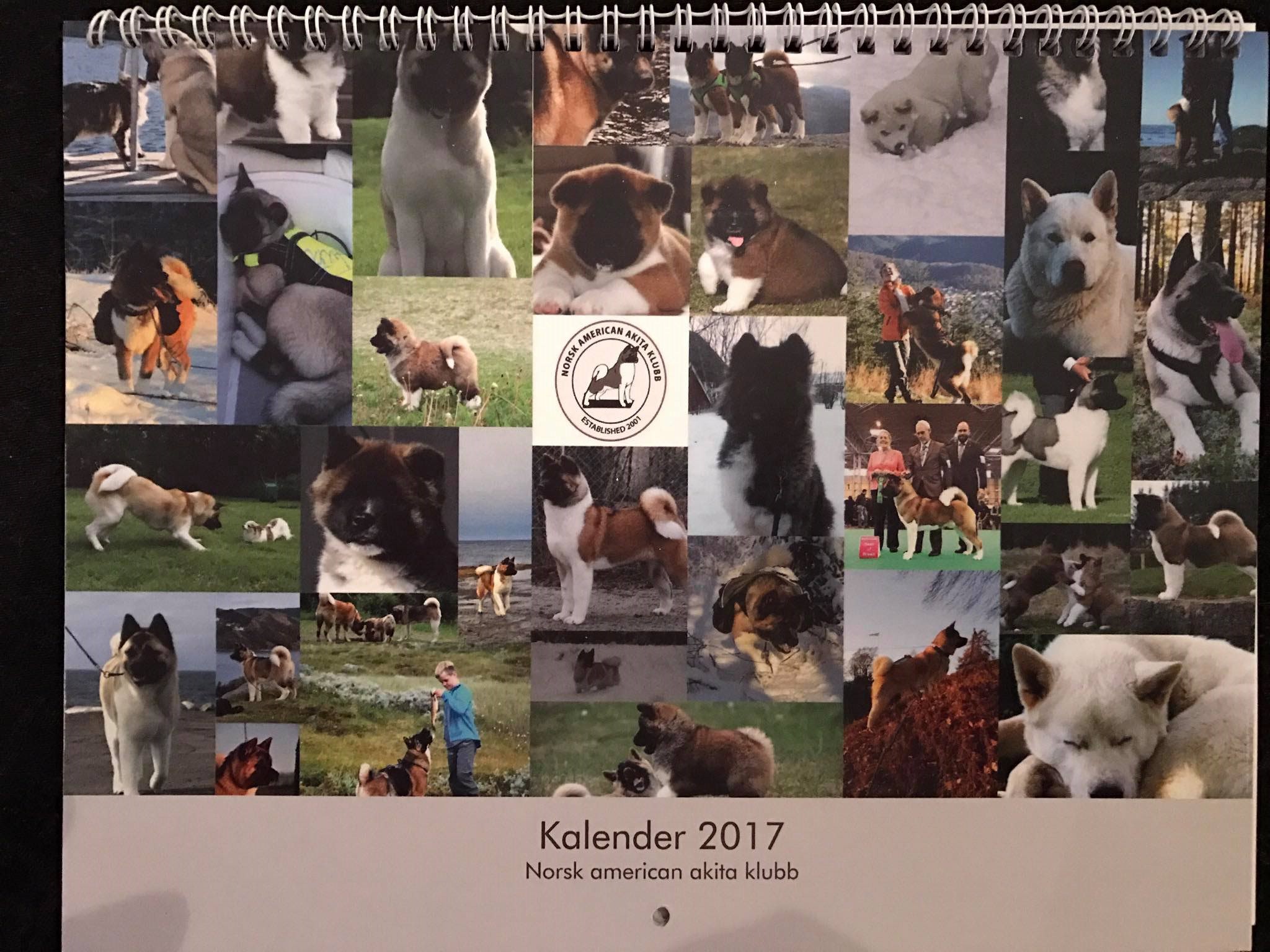 Kalender for 2017 nå i salg!