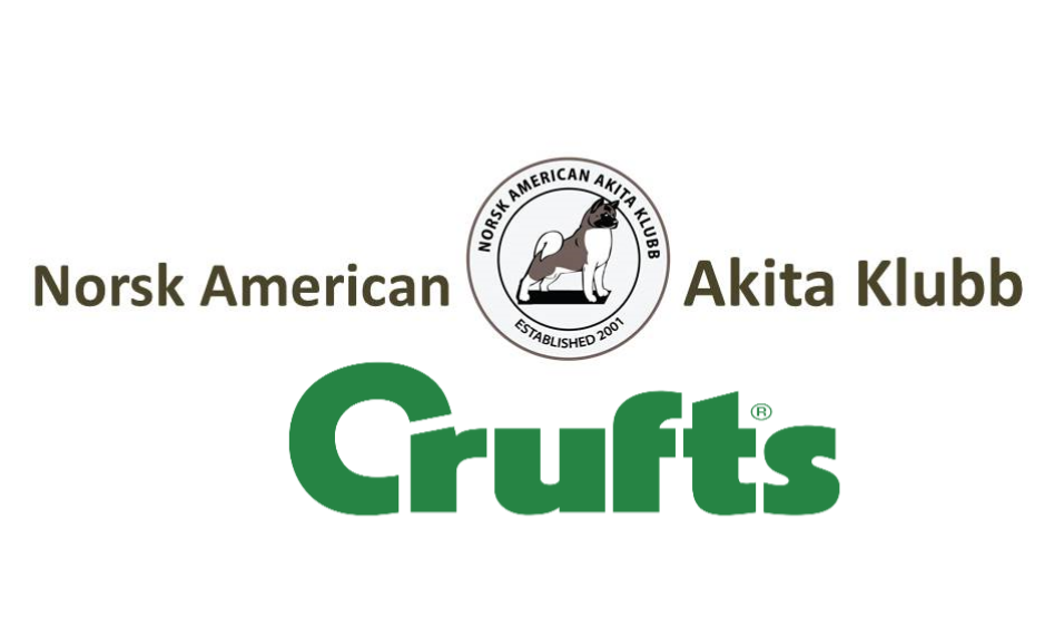 Norsk American Akita Klubb gratulerer med fantastisk Crufts 2017 resultat!